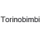 Torino Bimbi Torinobimbi